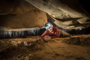 Fungus gnat larvae threads, Daniel's Cave