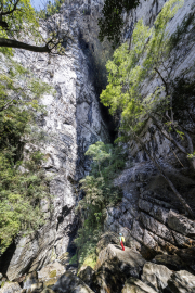 Entrance to Gruta da Casa de Pedra, São Paulo , tallest cave entrance in the world