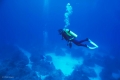 Diving, Andros Island, Bahamas