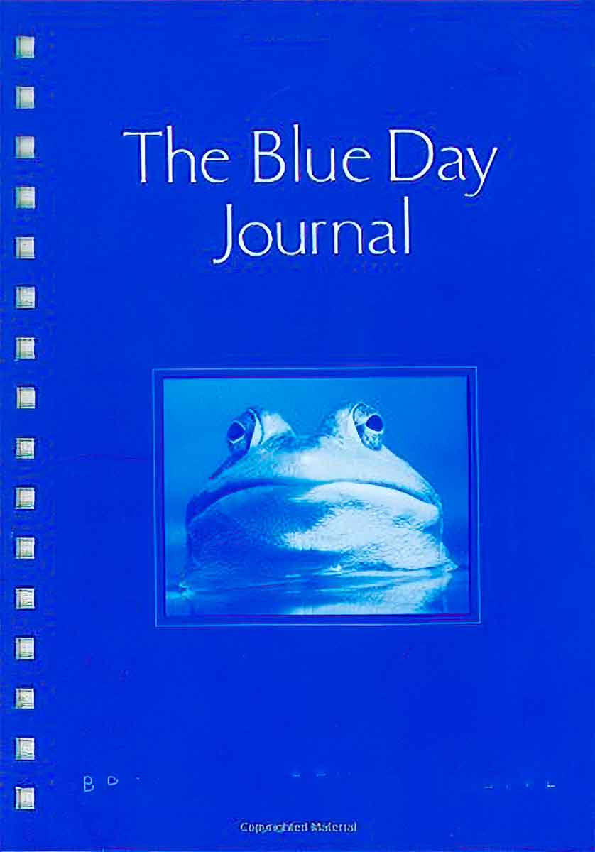 The Blue Day Journal
